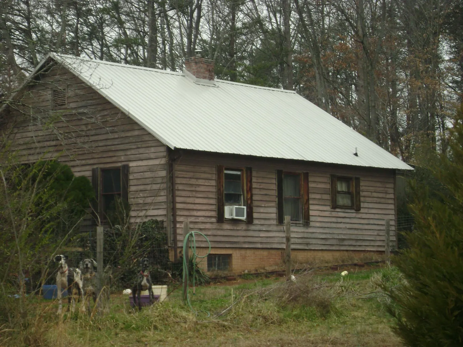 White metal roof on an old wood sided farmhouse, from a Asphalt Shingle Roof Repair job in Crooks